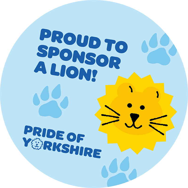 We are proud to sponsor a lion for Pride of Yorkshire for the Sheffield Children's Hospital Charity